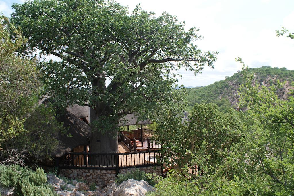 Adansonia Eco Lodge Musina Esterno foto