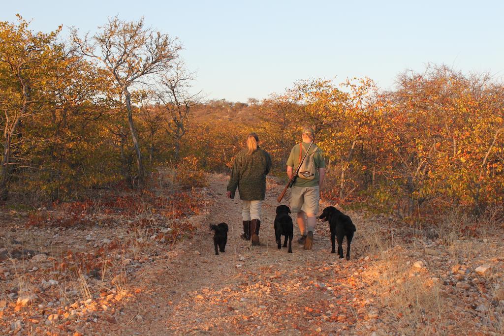 Adansonia Eco Lodge Musina Esterno foto