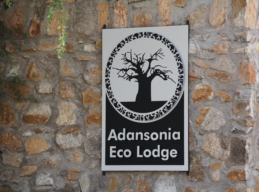 Adansonia Eco Lodge Musina Esterno foto